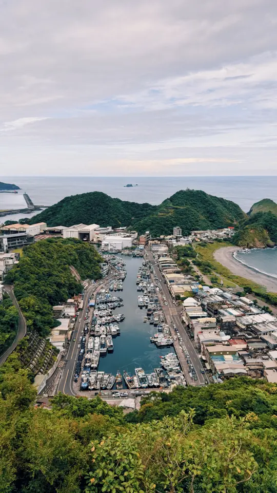 A harbour full of boats below green hills